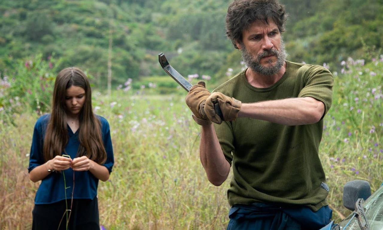 header image for The House Among the Cactuses