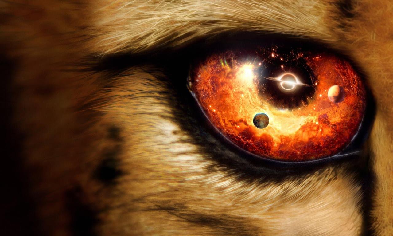 header image for Our Universe