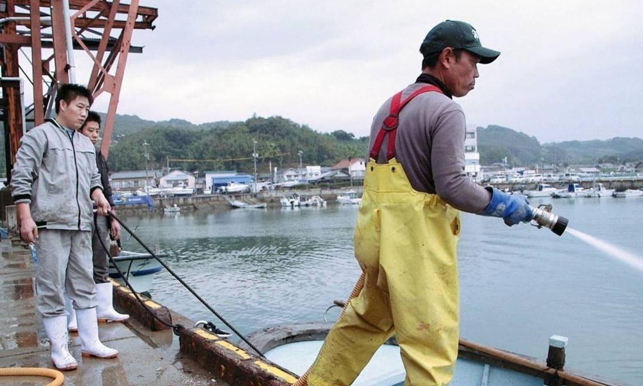 Oyster Factory Where to Watch and Stream Online Entertainment.ie