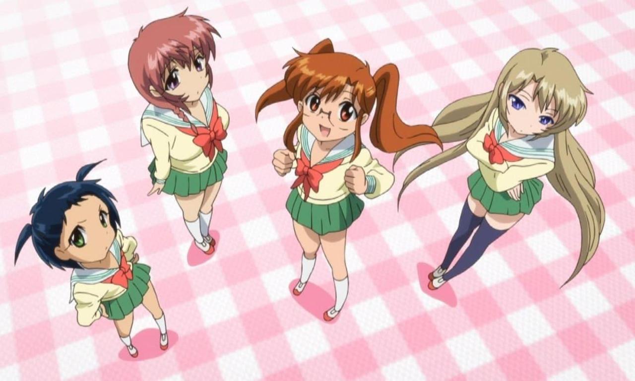 header image for Chu-Bra!!