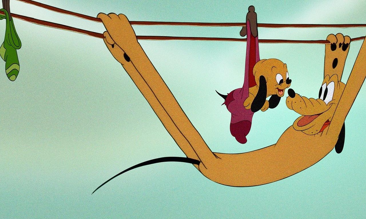 header image for Pluto Junior