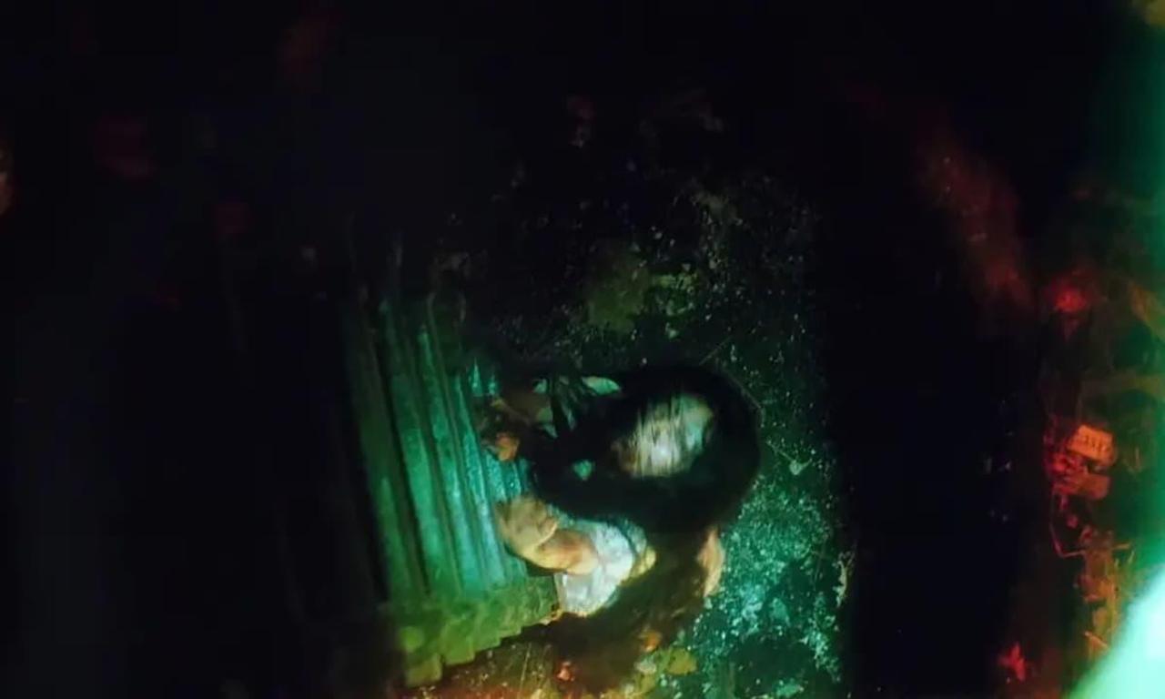 ox-head-village-where-to-watch-and-stream-online-entertainment-ie