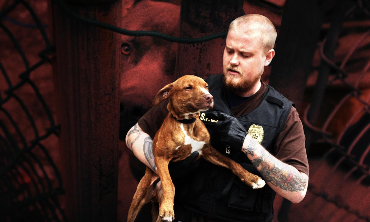 header image for Philly Undercover