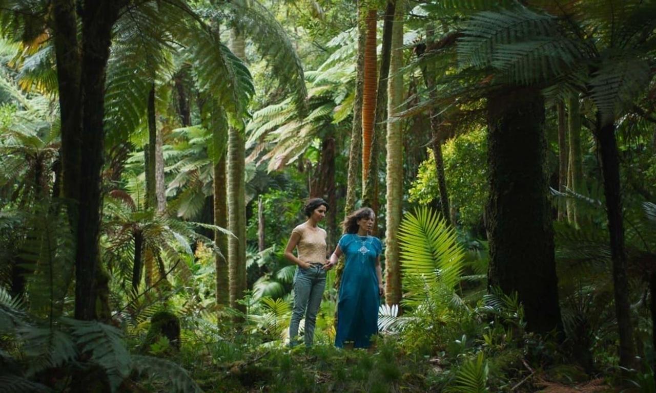 header image for Sycorax