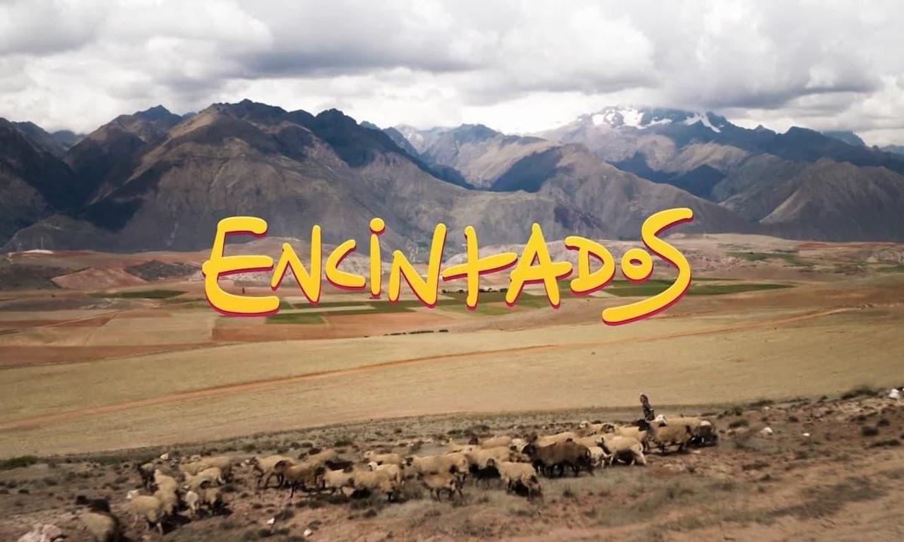 header image for Impregnated