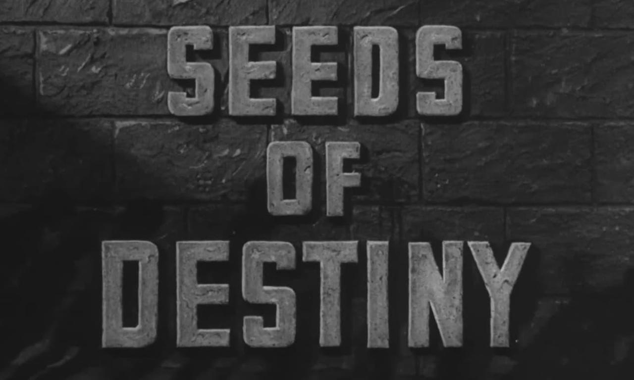 seeds-of-destiny-where-to-watch-and-stream-online-entertainment-ie