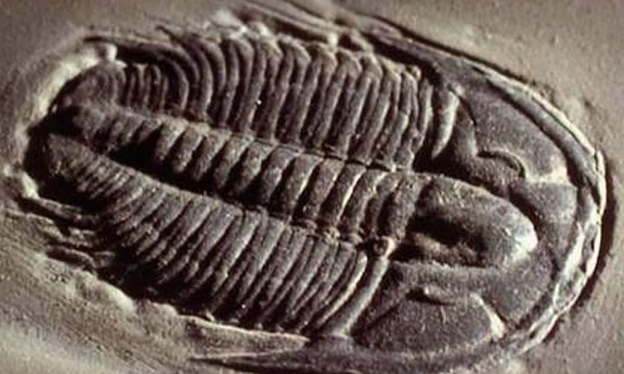 Lost Worlds, Vanished Lives - Where to Watch and Stream Online