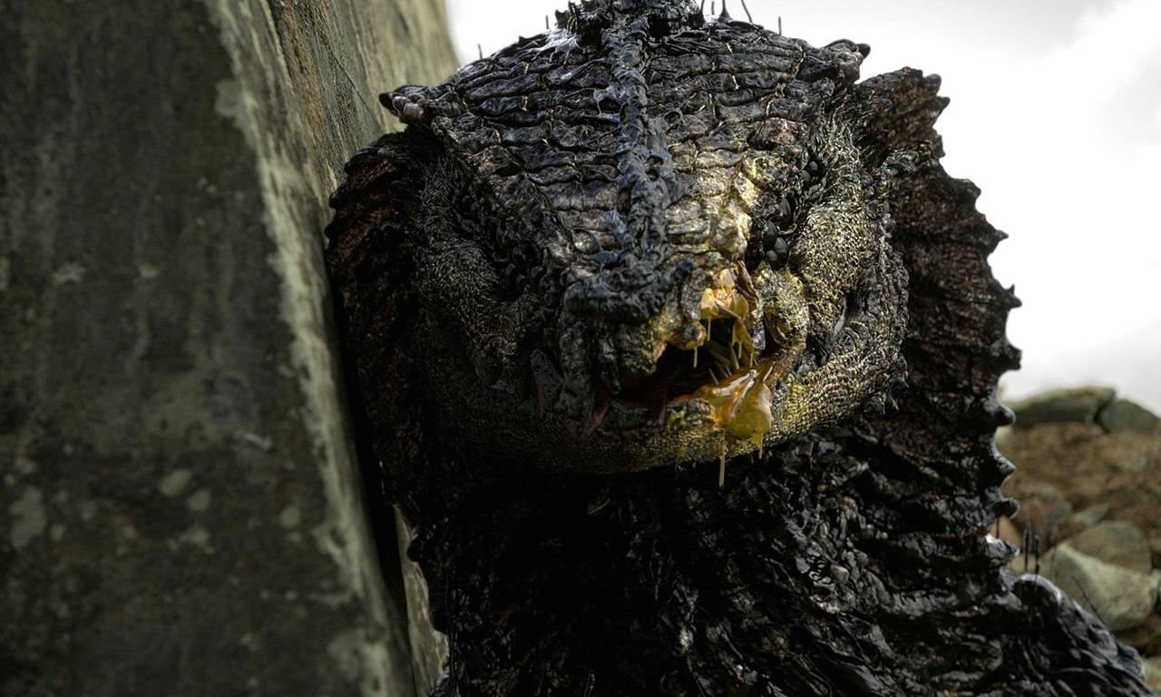 header image for Rakka