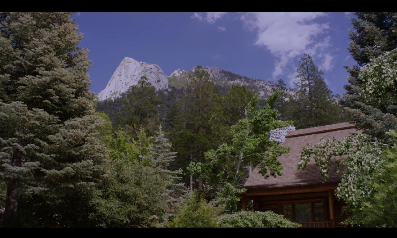 header image for Why?