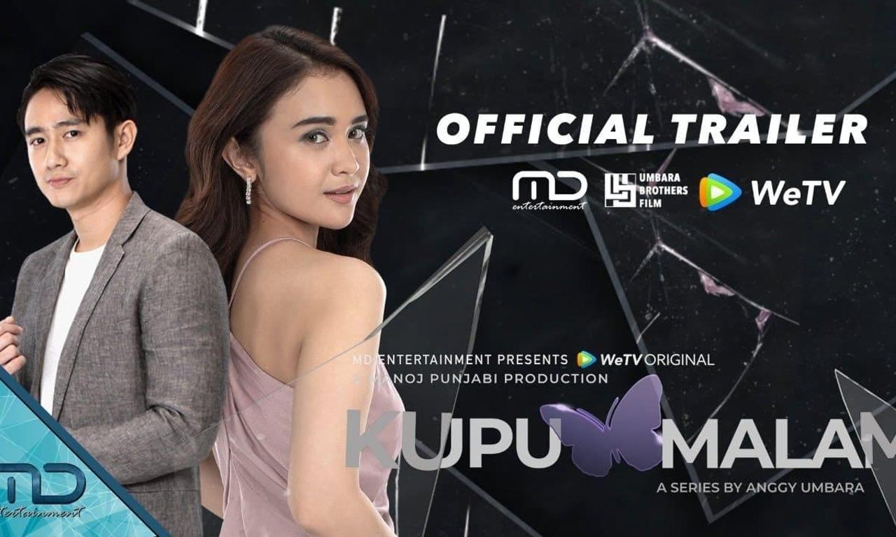 header image for Butterfly of the Nights