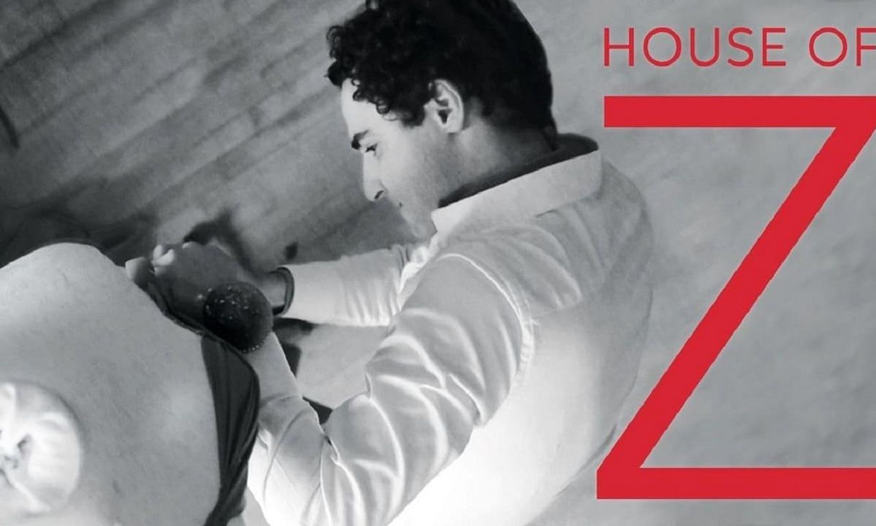 House of Z Where to Watch and Stream Online Entertainment.ie