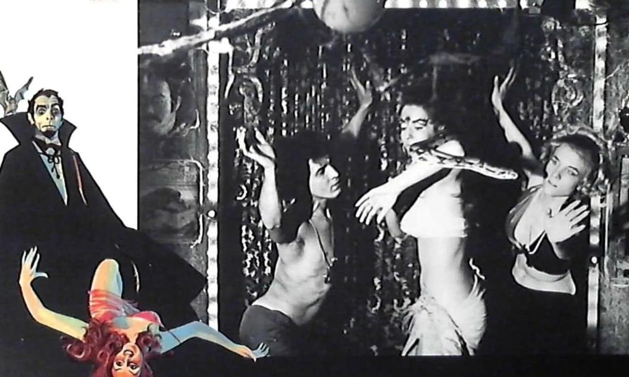 header image for Guess What Happened to Count Dracula?