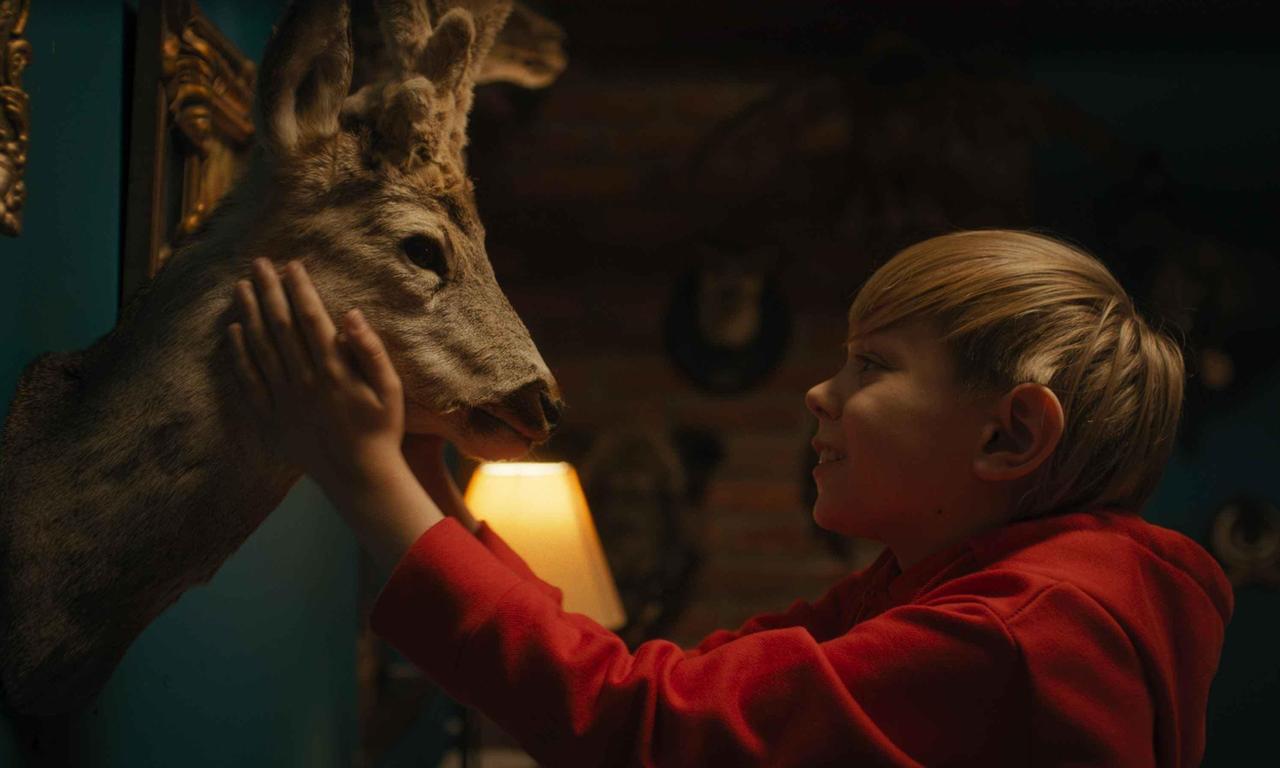 header image for Boy