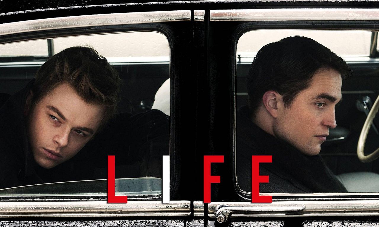 header image for Life