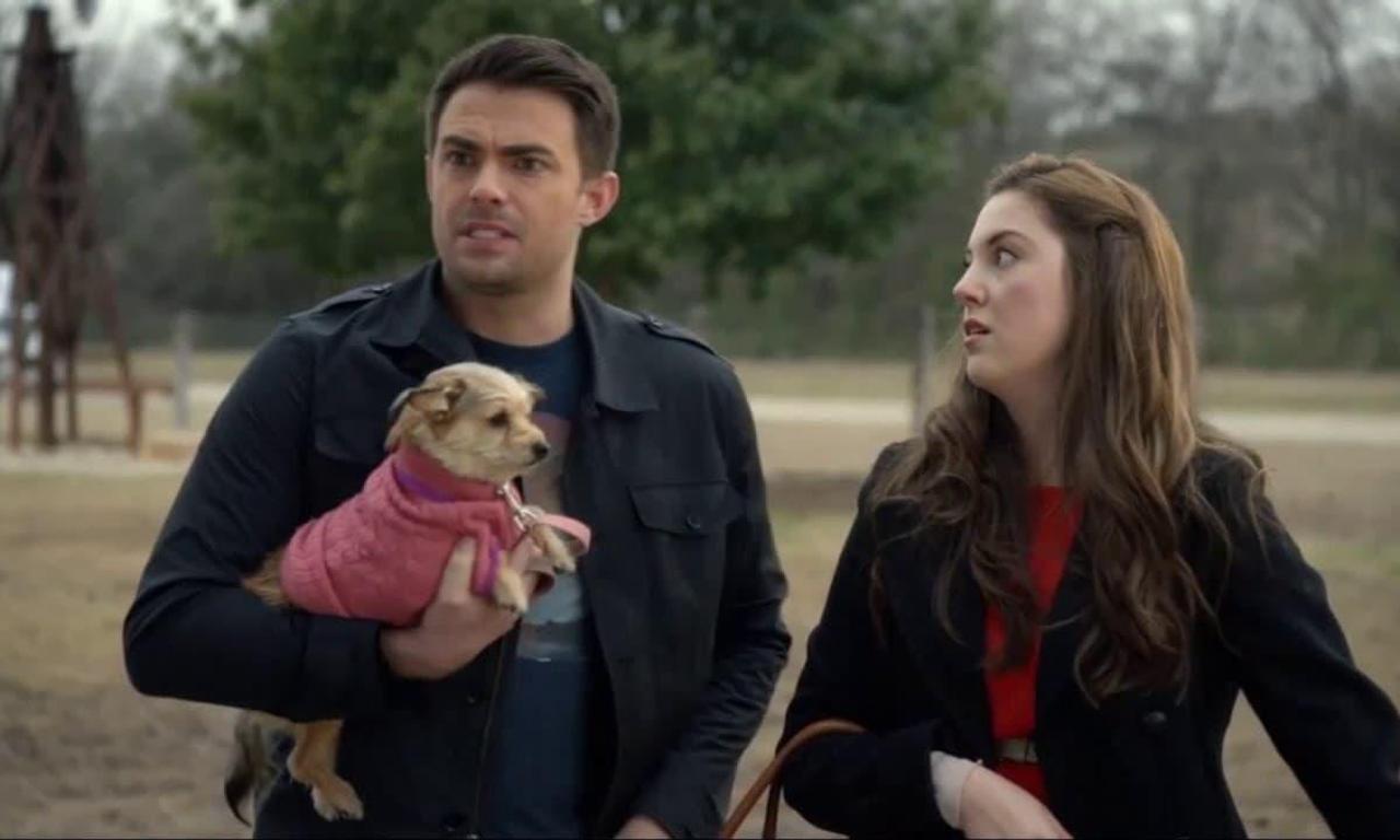 A Dogwalker's Christmas Tale - Where to Watch and Stream Online