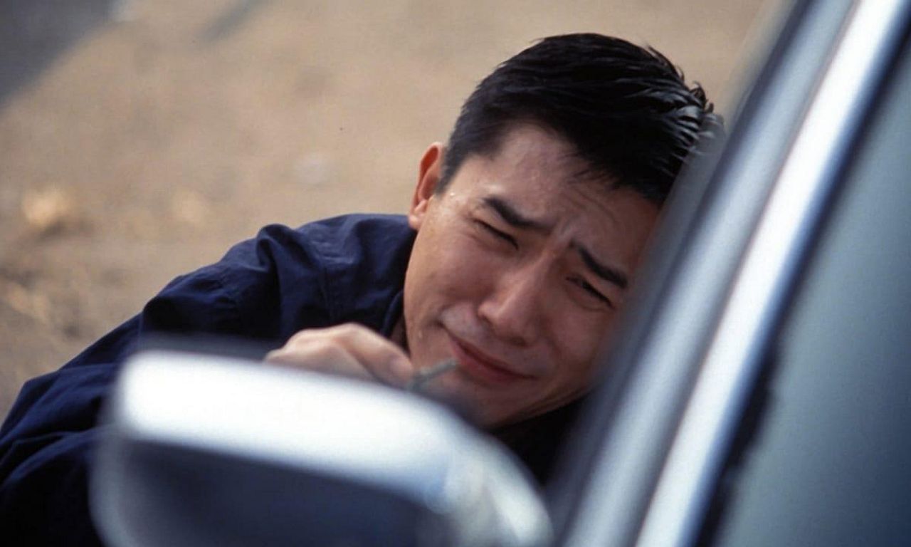 header image for The Days of Being Dumb