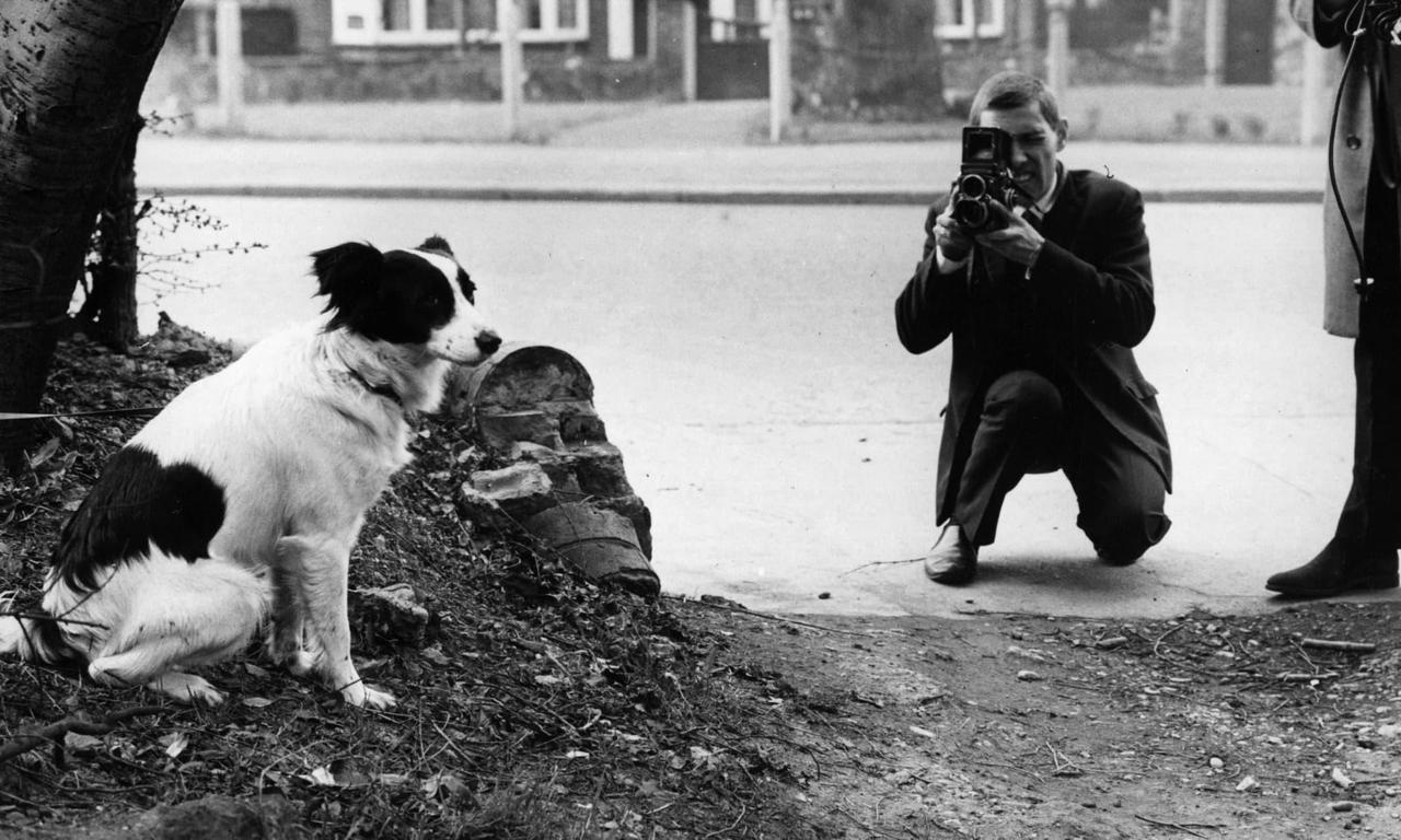 header image for 1966: Who Stole The World Cup?