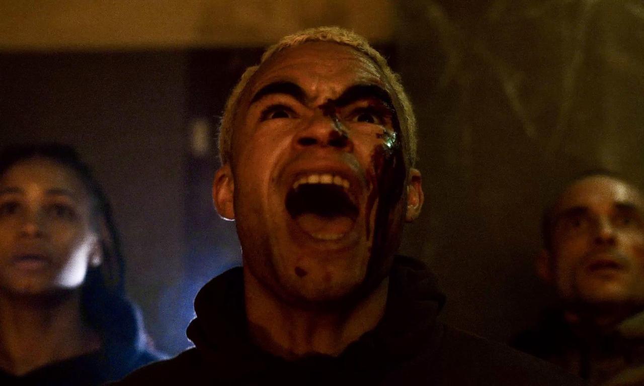 header image for Vermin