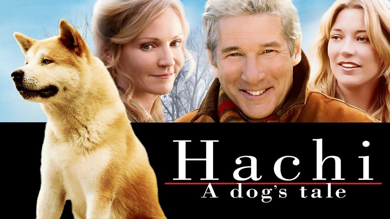 Hachiko store on netflix