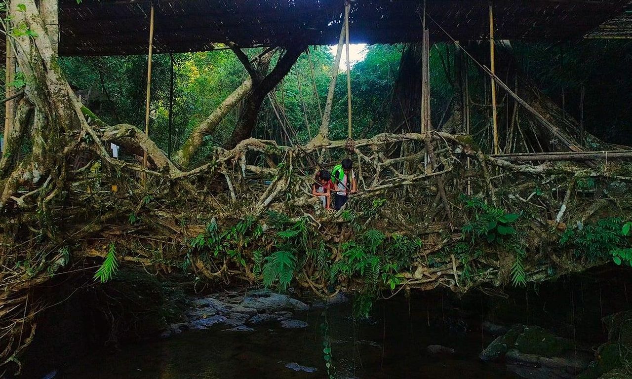 header image for For Tomorrow - A Documentary about Grassroots Innovators