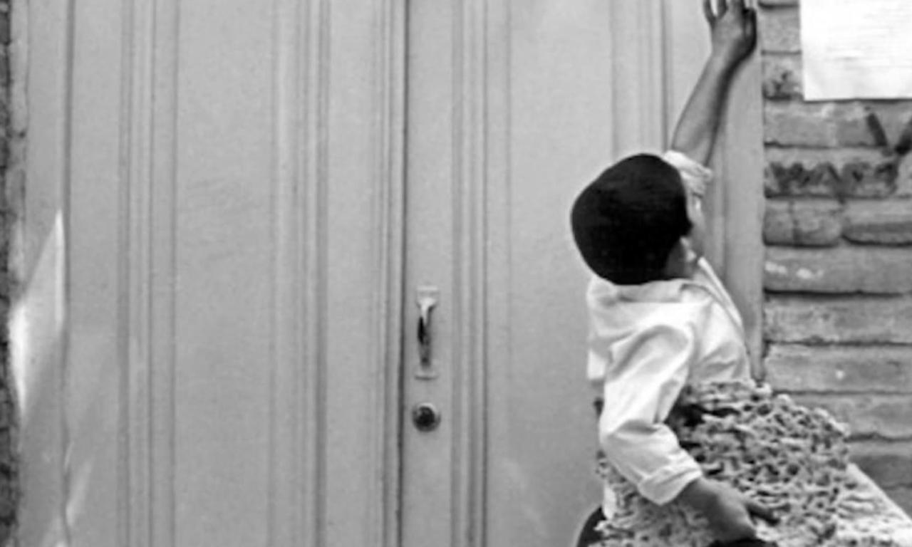 The Bread and Alley Where to Watch and Stream Online Entertainment.ie