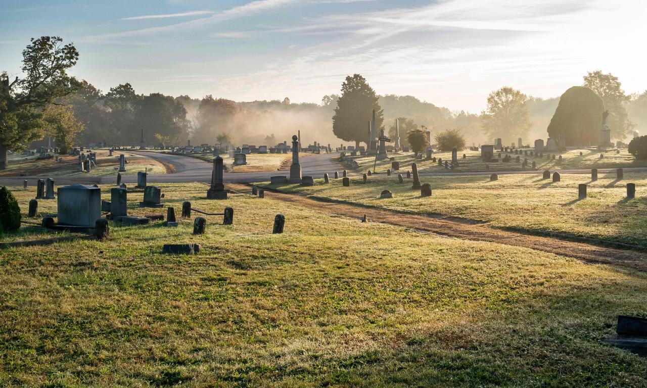 header image for Raymond & Ray