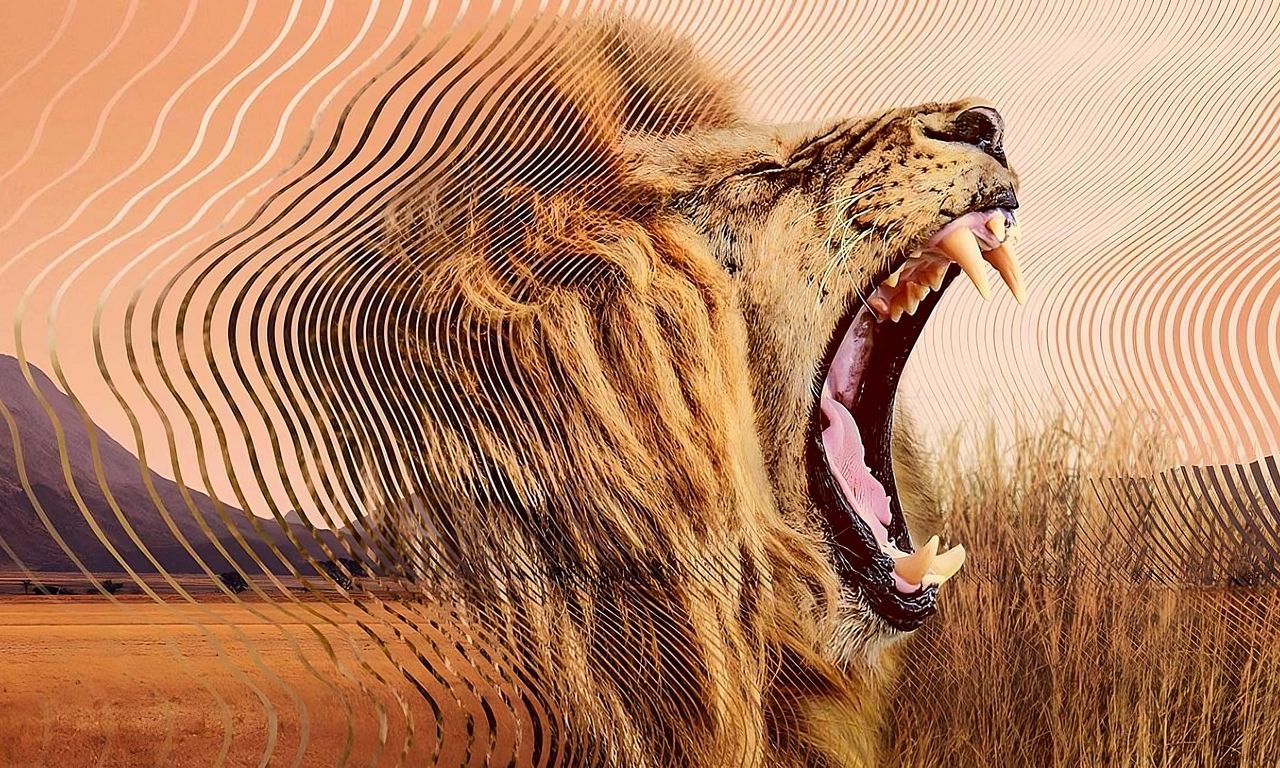 header image for Secret World of Sound with David Attenborough