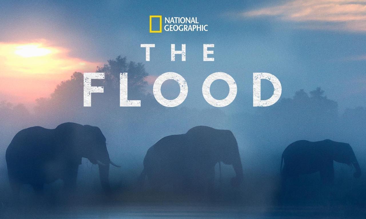 The Flood - Where to Watch and Stream Online – Entertainment.ie