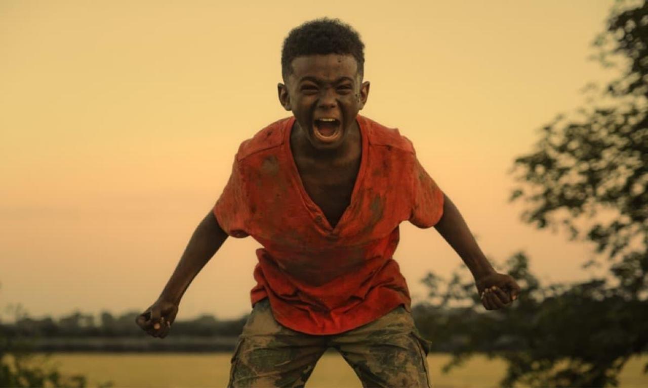 header image for The Last Tree