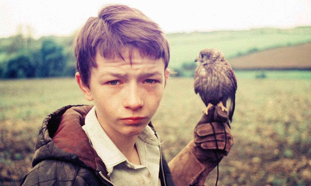 Kes Where to Watch and Stream Online Entertainment.ie