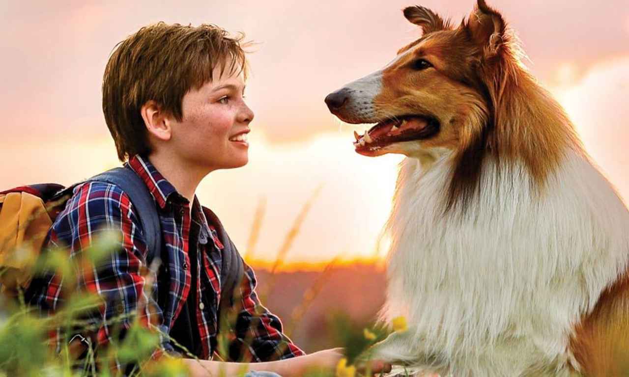 Lassie - watch tv show streaming online