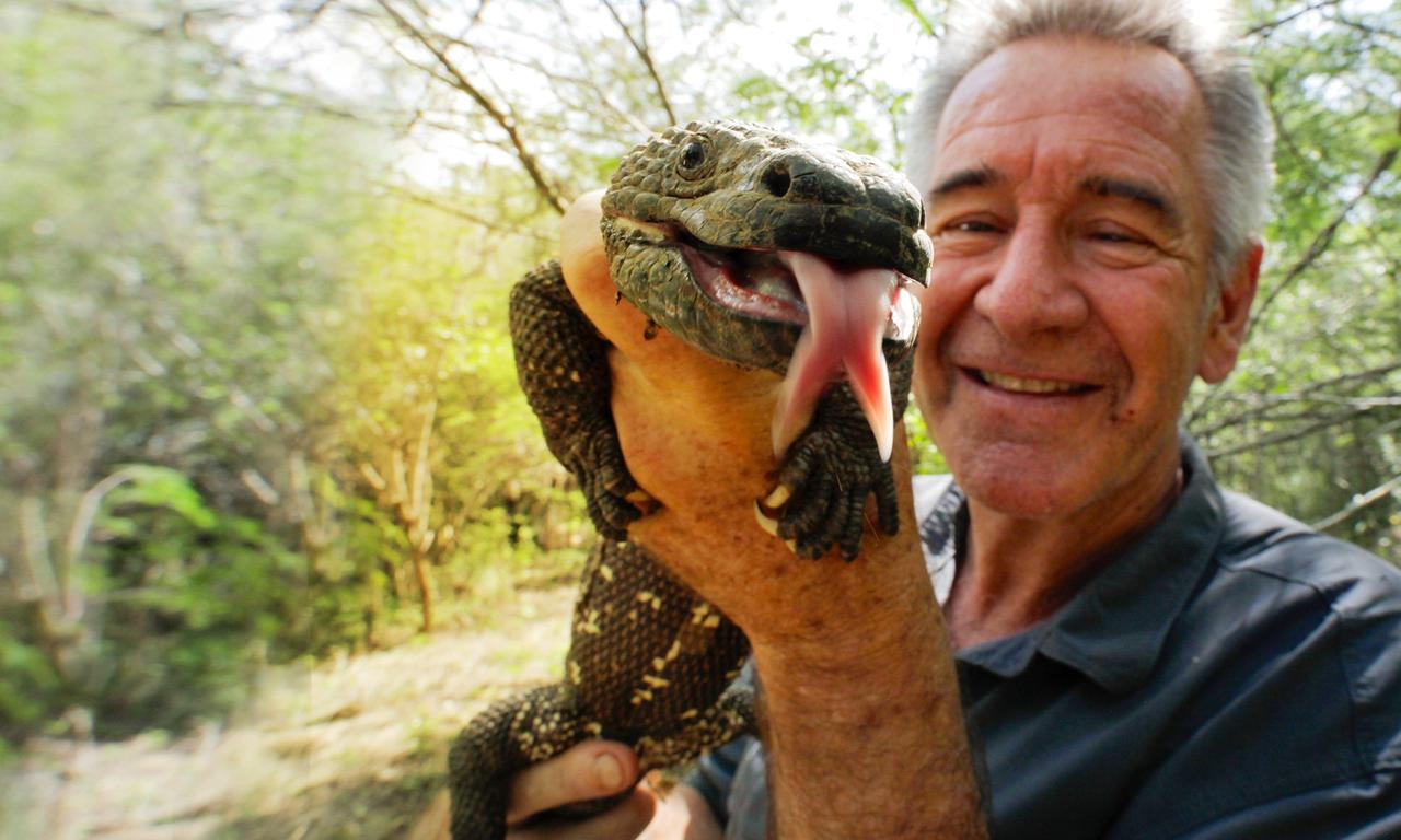 header image for Wild Central America