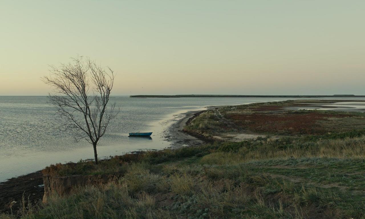 header image for Homeward