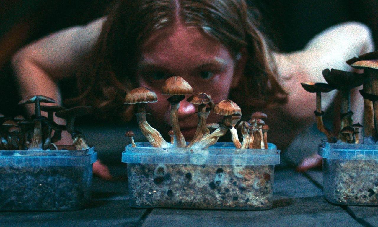 header image for The Great Glitch / Children of Paradise