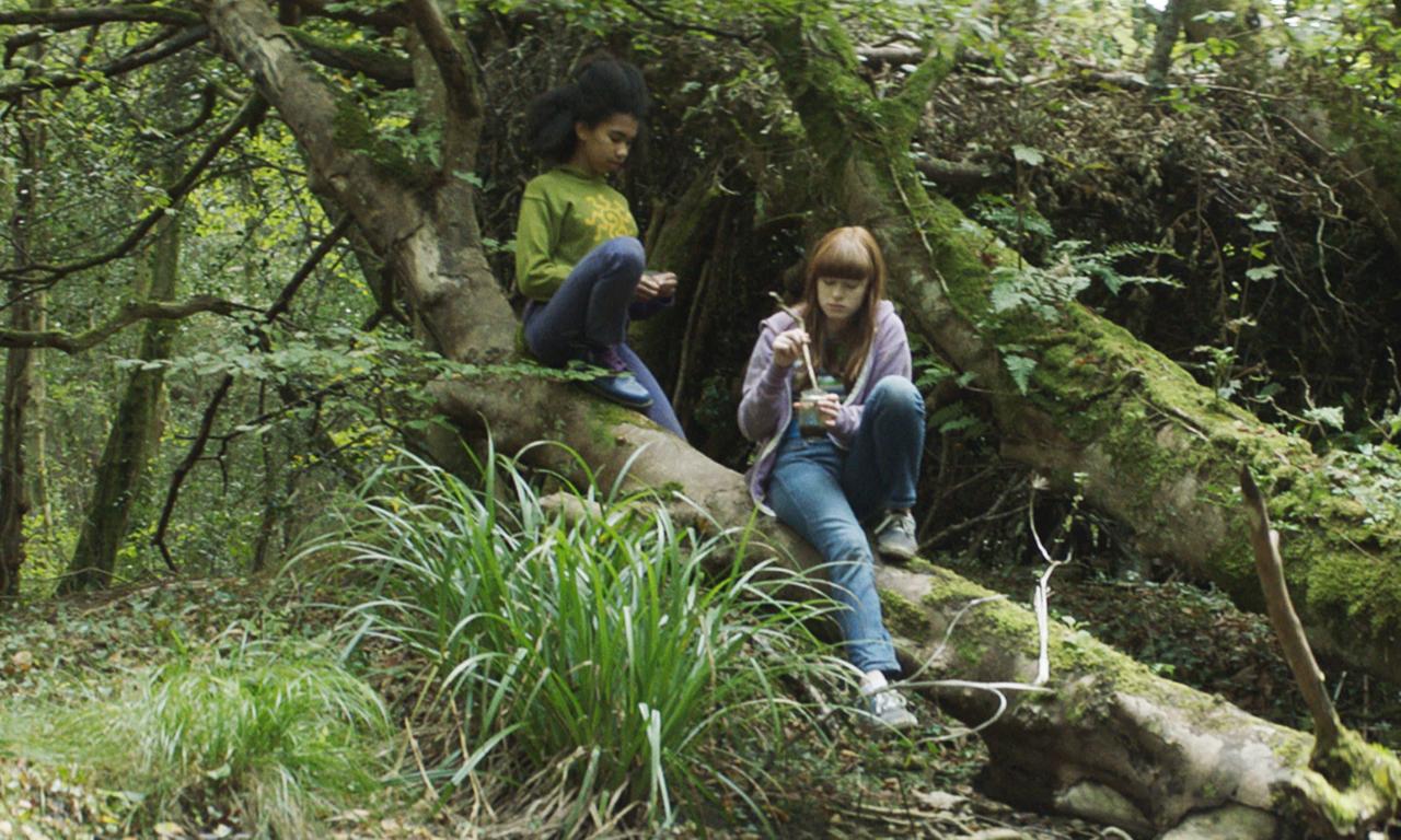 header image for Summer in the Shade