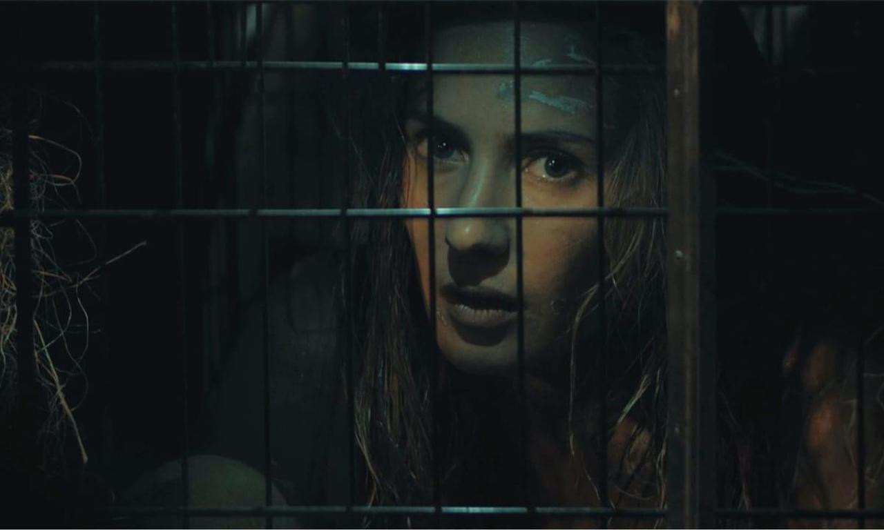 header image for Wild Boar