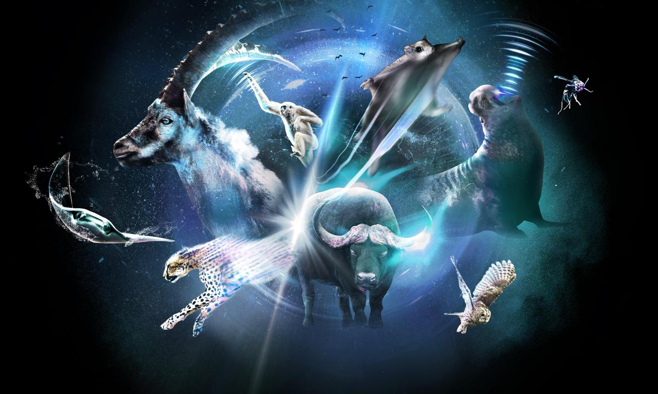 header image for Super/Natural