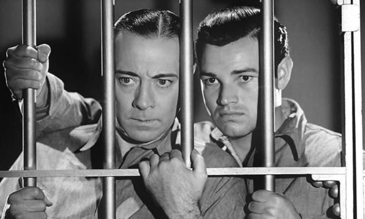 They All Come Out - Where to Watch and Stream Online – Entertainment.ie
