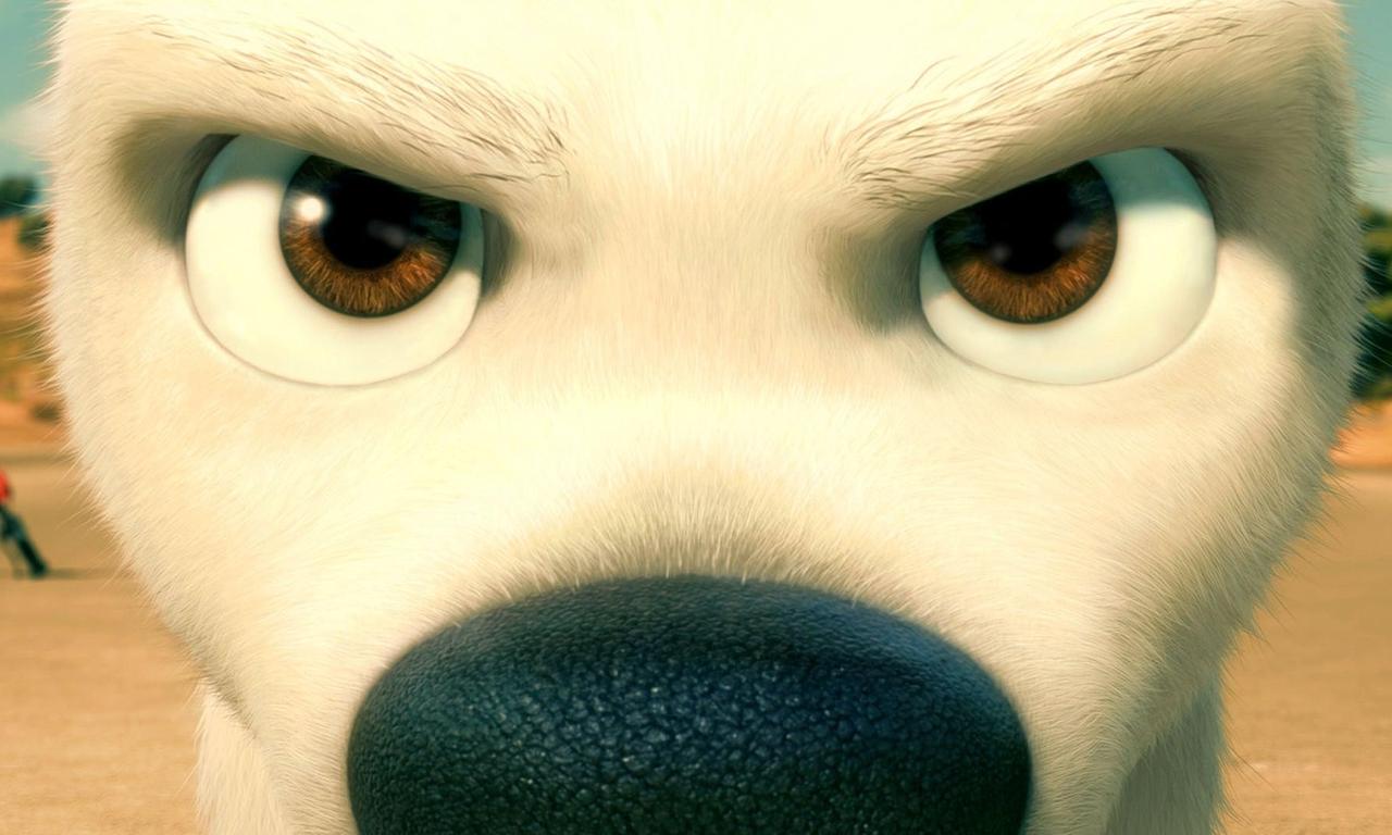 header image for Bolt