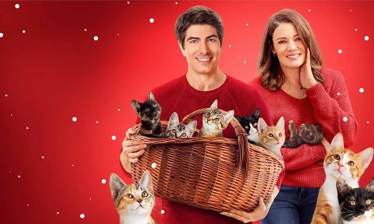 header image for The Nine Kittens of Christmas