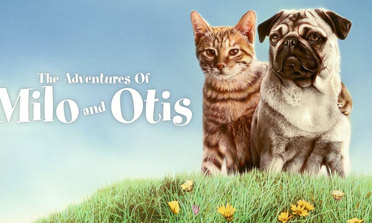 The Adventures of Milo and Otis Where to Watch and Stream Online
