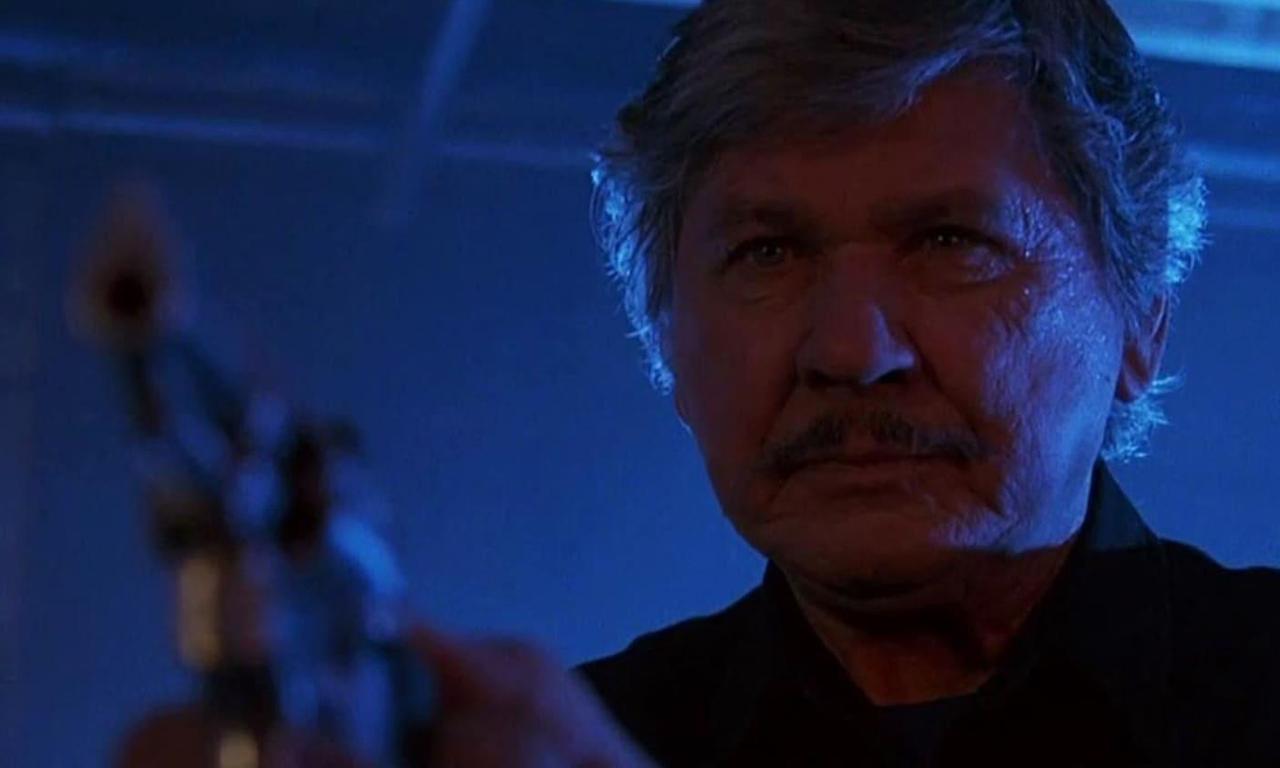 Death Wish V: The Face of Death - Where to Watch and Stream Online –  