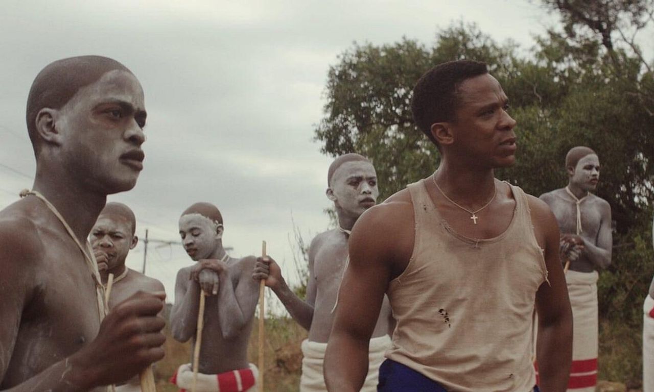 header image for The Wound