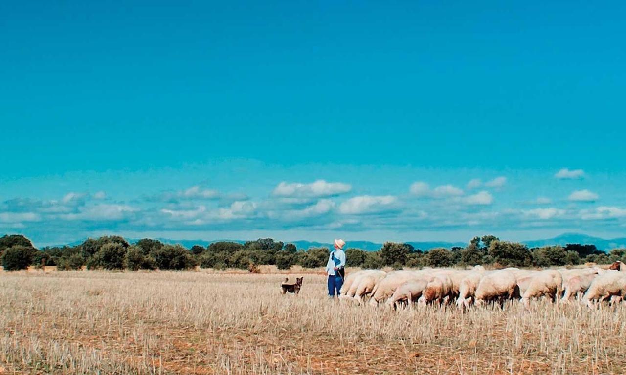 header image for Inland