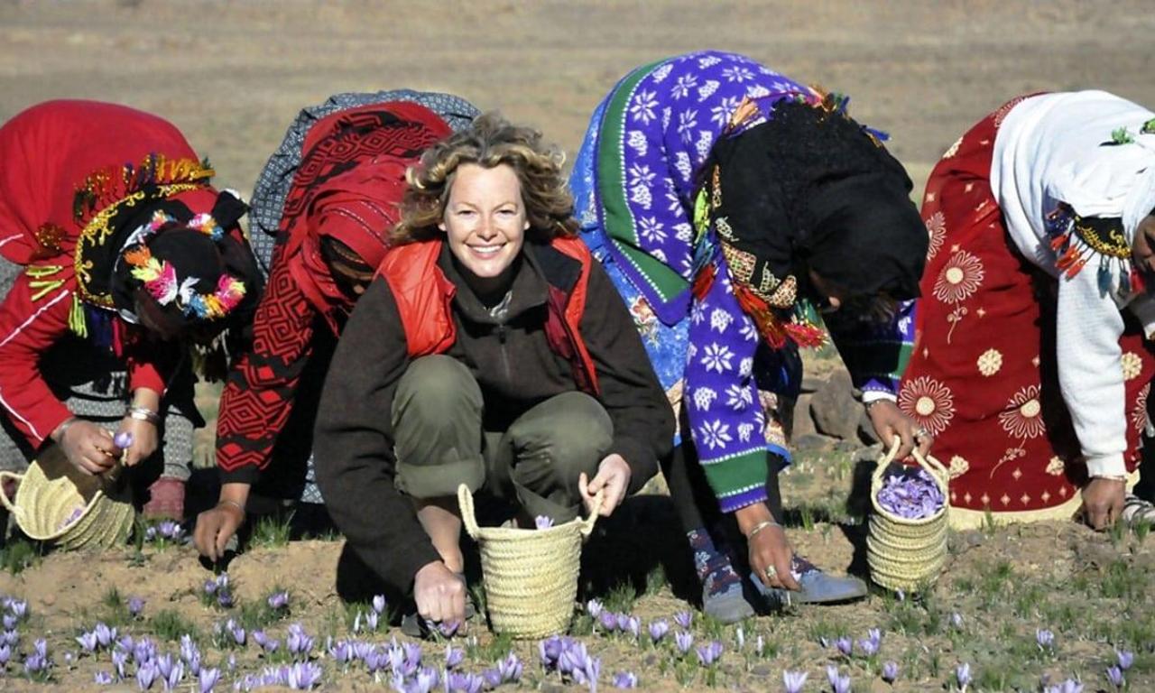 header image for The Spice Trail