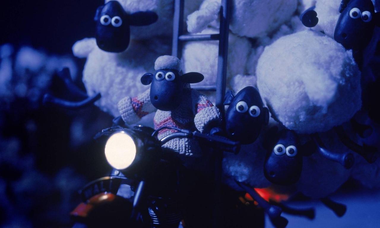 header image for A Close Shave