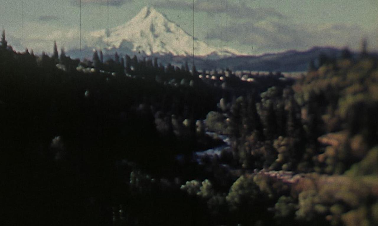 header image for Shangri-La (Paradise Under Construction)