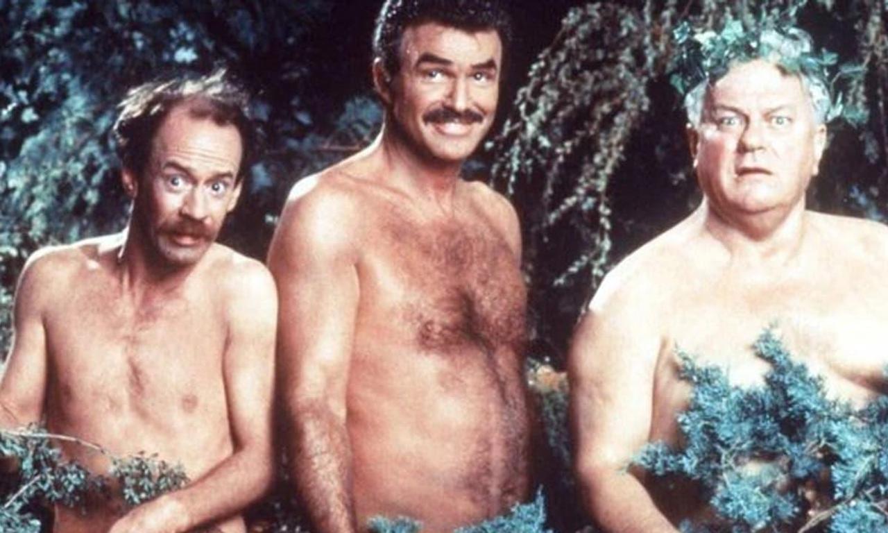 header image for Evening Shade