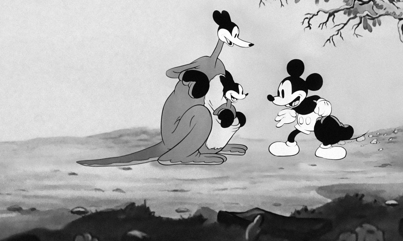 header image for Mickey's Kangaroo
