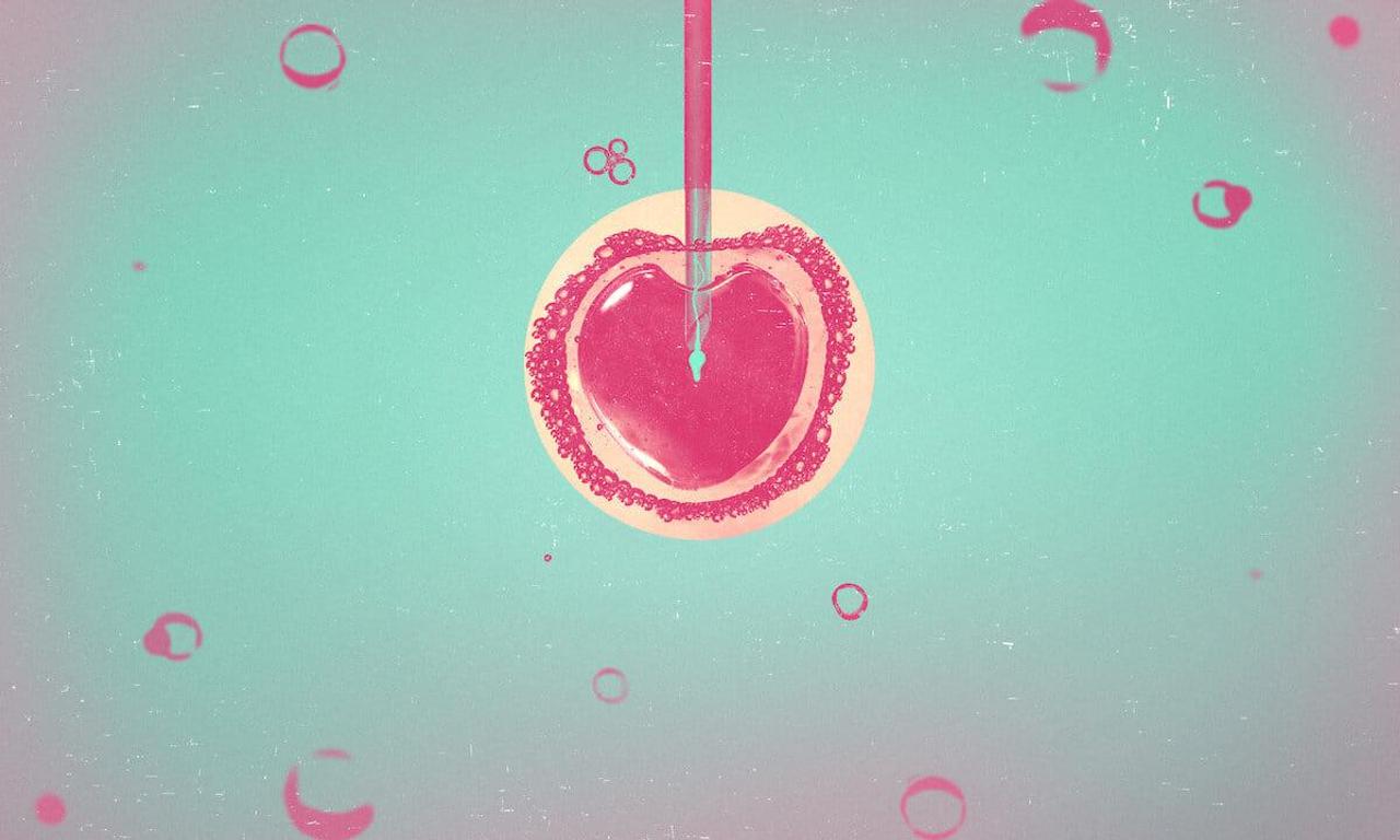 header image for Baby Fever